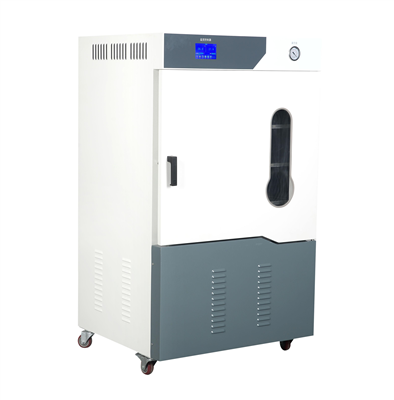 全自动草莓视频APP网站型号：DZF-6090C(90L)